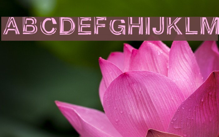 Spikebold_demo Regular Example 1