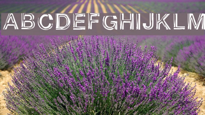 Spikebold_demo Regular Example 3