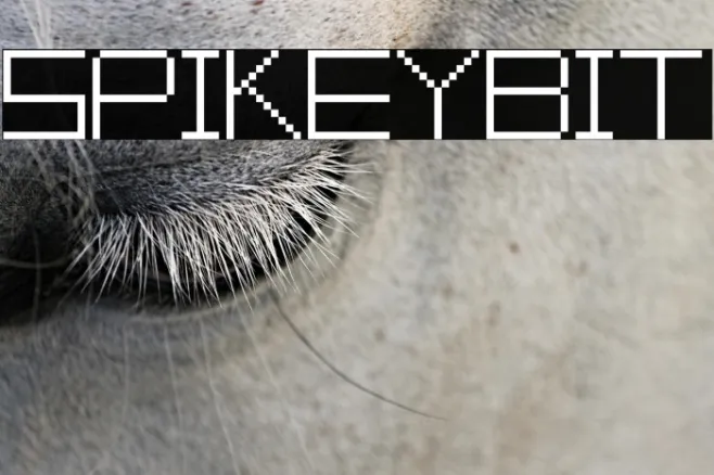 SpikeyBit Example 2