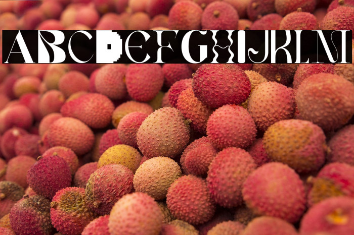 Spikle Personal Use Only Example 2