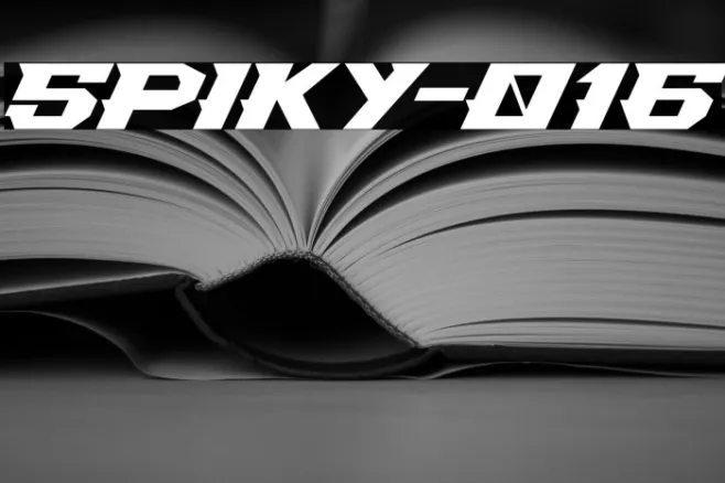 Spiky-016 Example 1