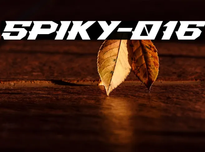 Spiky-016 Example 2