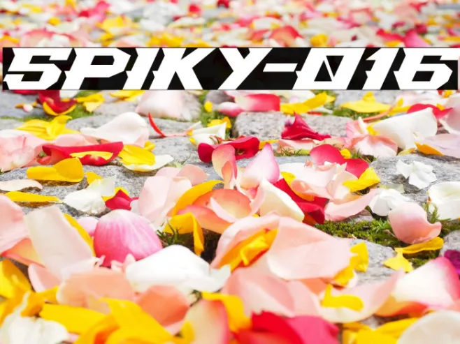 Spiky-016 Example 3