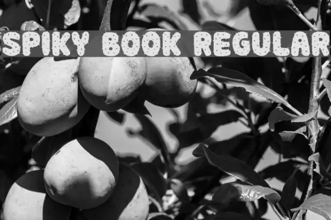 Spiky Book Regular Font examples