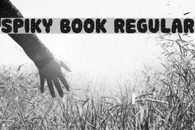 Spiky Book Regular Font examples