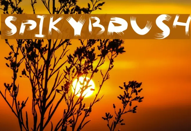 SpikyBrush Example 3