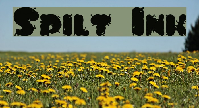 Spilt Ink Font examples
