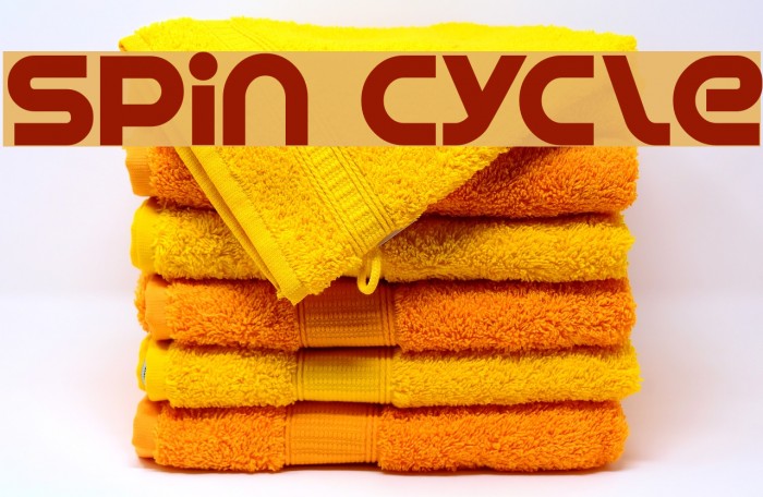 Spin Cycle Font examples