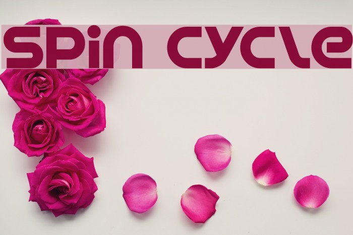 Spin Cycle Font examples