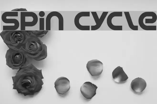 Spin Cycle Schriftart examples