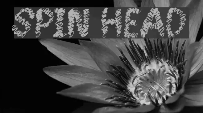 Spin Head Font examples