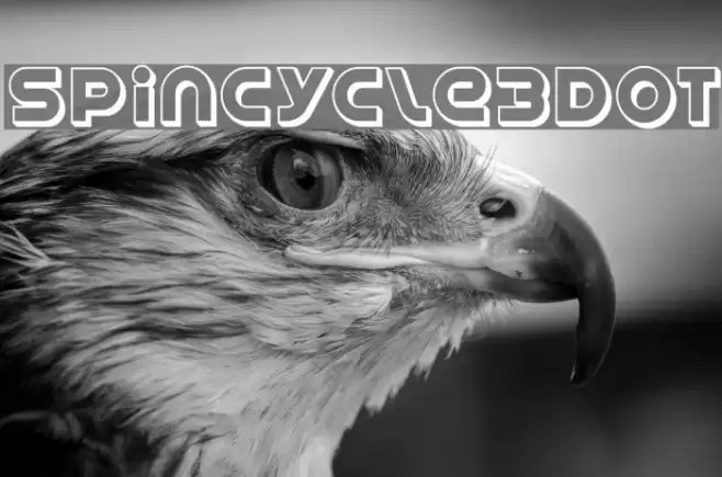 SpinCycle3DOT Font examples