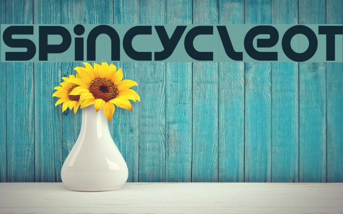 SpinCycleOT Font examples