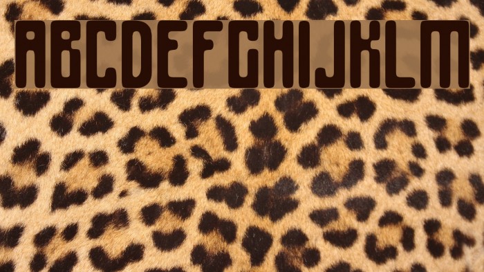 Spinach Font examples