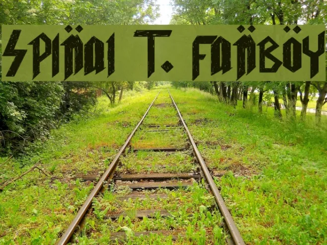 Spinal T. FanBoy Example 2