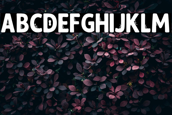 Spindark PERSONAL USE ONLY! Example 1