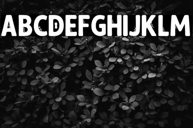 Spindark PERSONAL USE ONLY! フォント examples