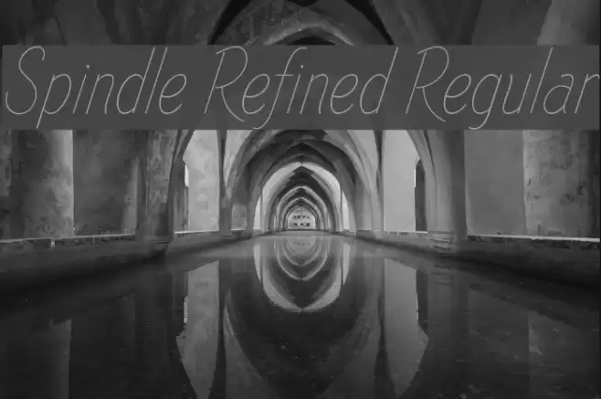 Spindle Refined Regular  examples