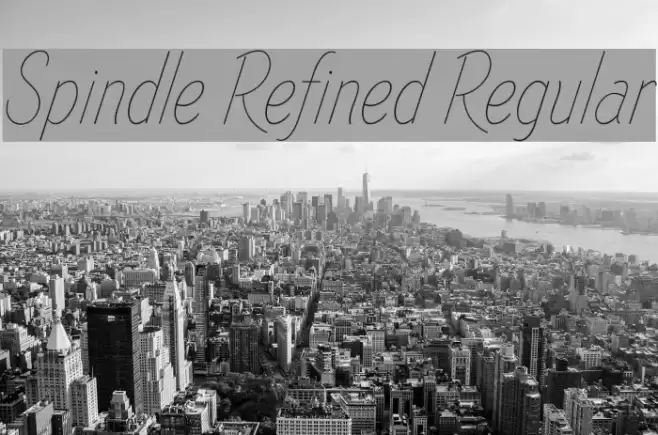 Spindle Refined Regular  examples