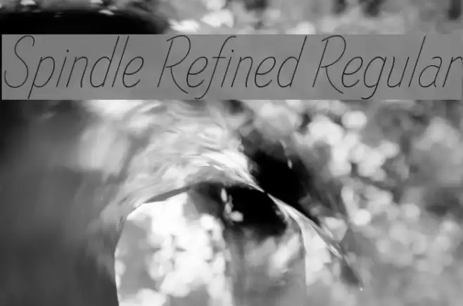 Spindle Refined Regular  examples