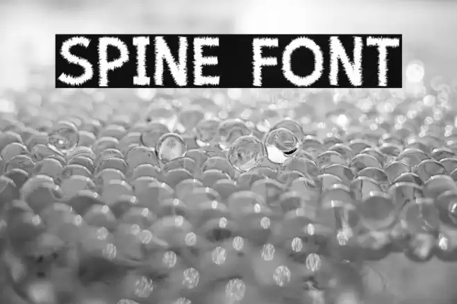 Spine Font examples