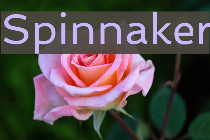 Spinnaker Example 3