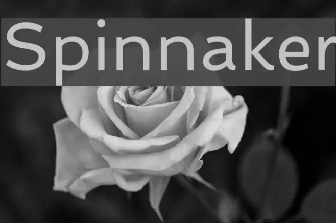 Spinnaker Font examples