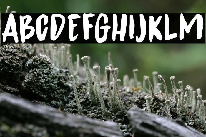 Spinwash DEMO Regular Example 1