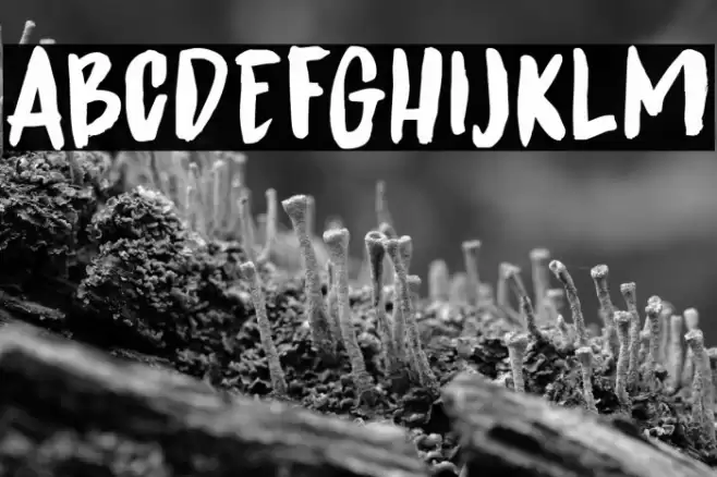 Spinwash DEMO Regular Font examples