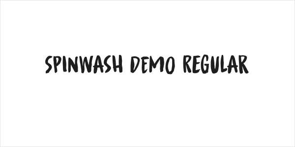 Spinwash DEMO Regular Logo