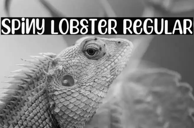 Spiny Lobster Regular Font examples