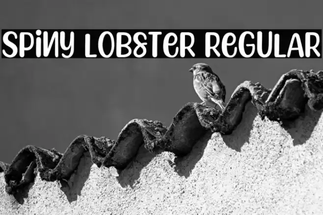 Spiny Lobster Regular Font examples