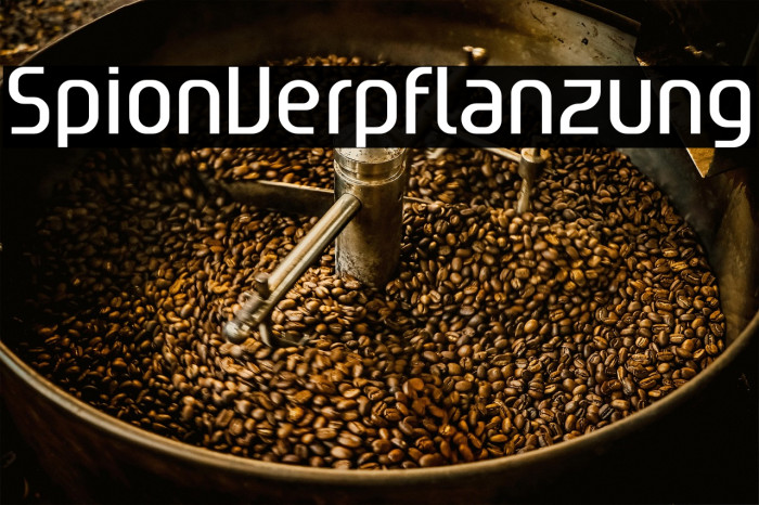 SpionVerpflanzung Example 1