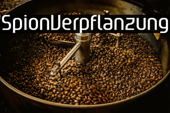 SpionVerpflanzung Example 1