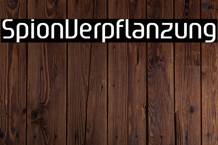 SpionVerpflanzung Example 3