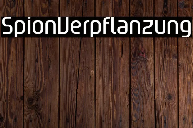 SpionVerpflanzung Example 3