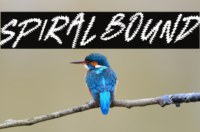 Spiral Bound Example 3