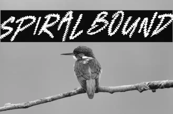 Spiral Bound Font examples