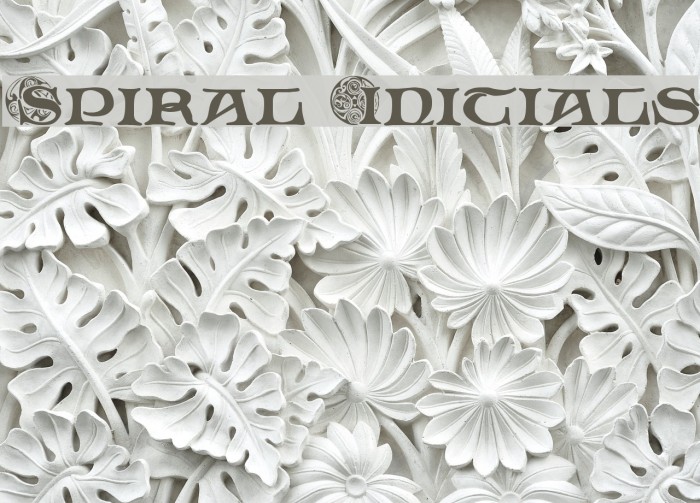 Spiral Initials Font examples