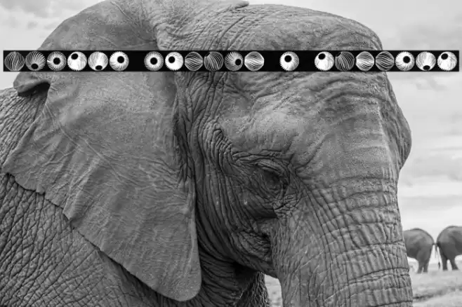 Spiral Object 3D Regular फ़ॉन्ट examples