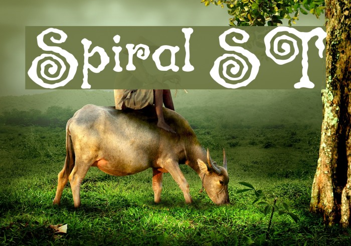 Spiral ST Font examples