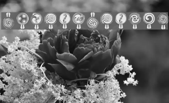 SpiralTraces Font examples