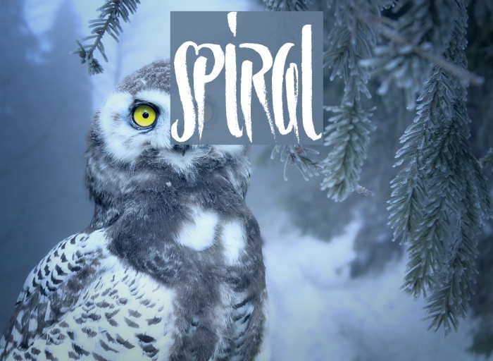 Spiral Font examples
