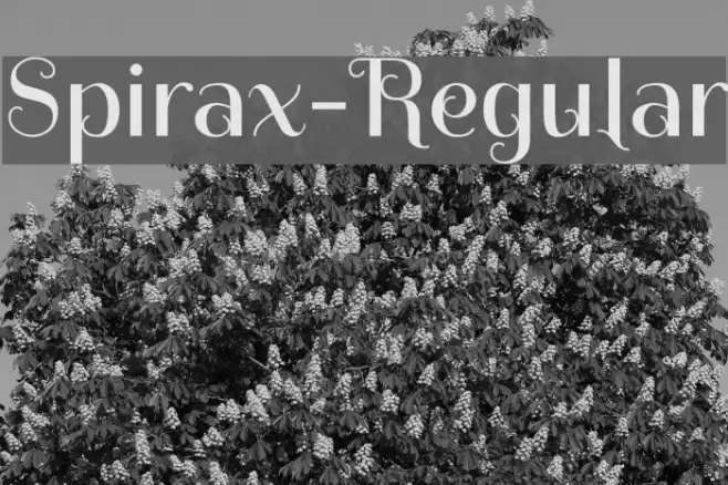 Spirax-Regular Font examples