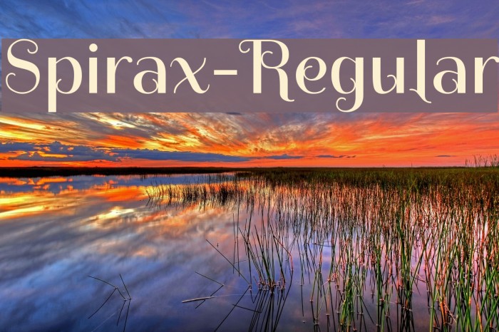 Spirax-Regular Example 3