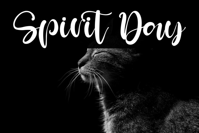 Spirit Day Example 1
