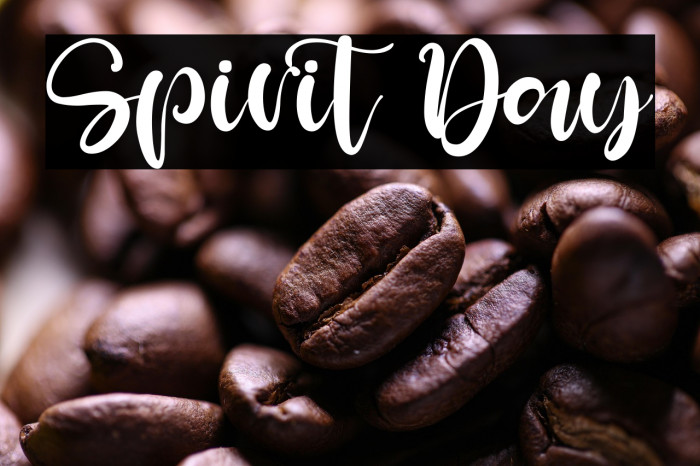 Spirit Day Example 2