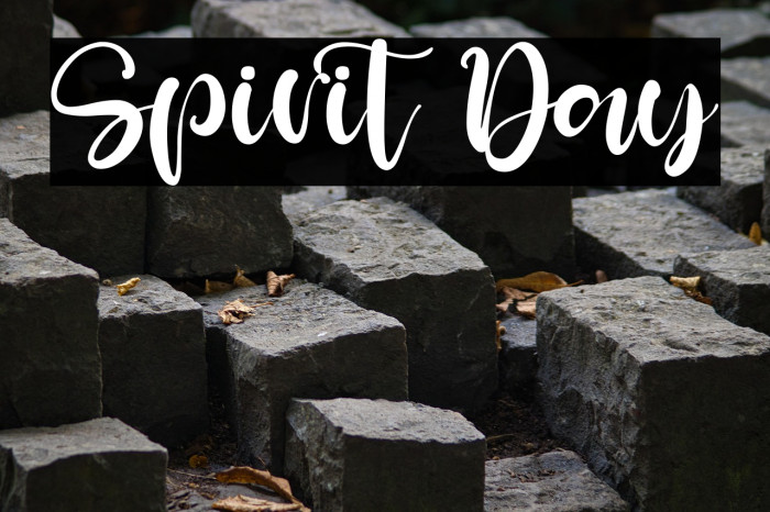 Spirit Day Example 3