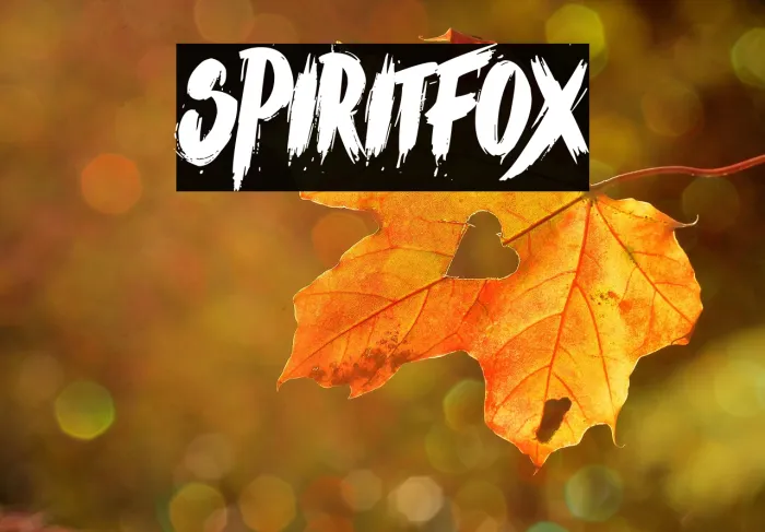 Spirit Fox Example 2