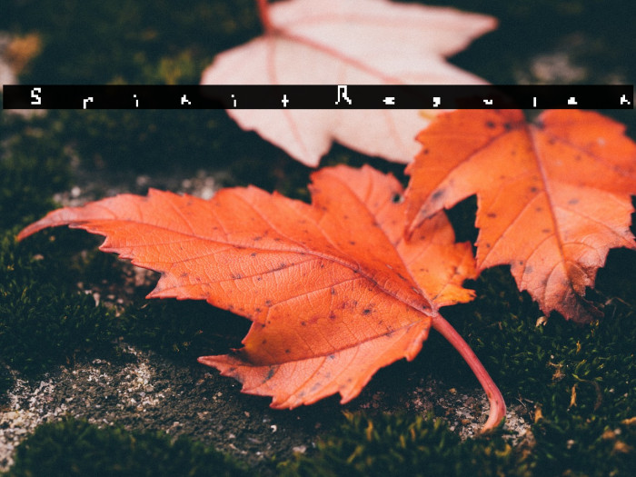 Spirit Regular Font examples